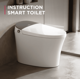 Safe Smart Toilet Integrated Intelligent Toilet Top Replacement Liquid, Anti-Leakage, Antibacterial Seat, Odor-Removing and Quiet Smart Toilet (D16-AW211001110101A1: D16-AW211001110101A1)